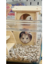 PURITY - りんの女の子ブログ画像