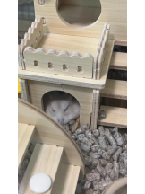 PURITY - りんの女の子ブログ画像