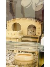 PURITY - りんの女の子ブログ画像