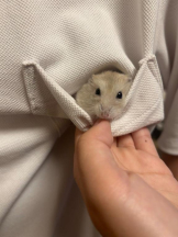 PURITY - りんの女の子ブログ画像