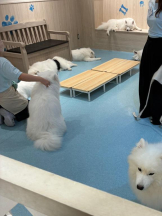 PURITY - りんの女の子ブログ画像