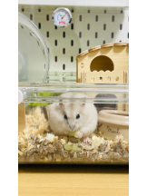 PURITY - りんの女の子ブログ画像