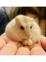 PURITY - りんの女の子ブログ画像