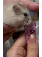 PURITY - りんの女の子ブログ画像