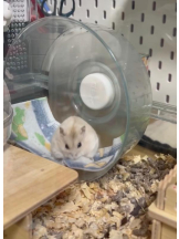 PURITY - りんの女の子ブログ画像