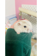 PURITY - りんの女の子ブログ画像