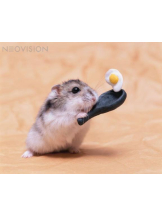 PURITY - りんの女の子ブログ画像