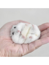 PURITY - りんの女の子ブログ画像