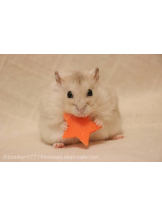 PURITY - りんの女の子ブログ画像