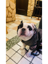 PURITY - りんの女の子ブログ画像