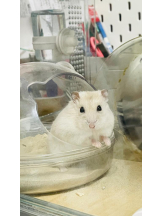 PURITY - りんの女の子ブログ画像