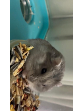 PURITY - りんの女の子ブログ画像