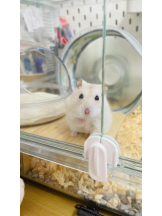 PURITY - りんの女の子ブログ画像