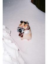 PURITY - りんの女の子ブログ画像