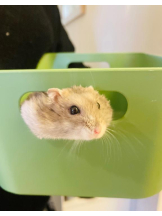 PURITY - りんの女の子ブログ画像