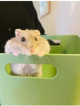 PURITY - りんの女の子ブログ画像