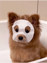 PURITY - りんの女の子ブログ画像