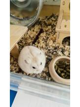 PURITY - りんの女の子ブログ画像