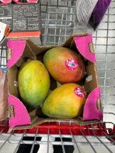 CLUB 白昼夢 - えりかの女の子ブログ画像