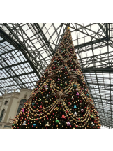 Club Queen - まこの女の子ブログ画像