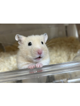 Club Queen - まこの女の子ブログ画像