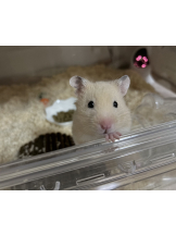 Club Queen - まこの女の子ブログ画像