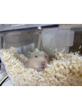 Club Queen - まこの女の子ブログ画像