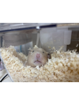 Club Queen - まこの女の子ブログ画像