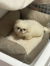 Club Queen - レオナの女の子ブログ画像