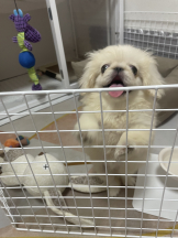 Club Queen - レオナの女の子ブログ画像