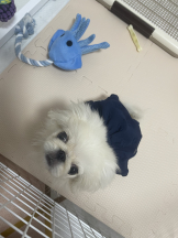 Club Queen - レオナの女の子ブログ画像