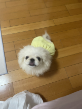 Club Queen - レオナの女の子ブログ画像