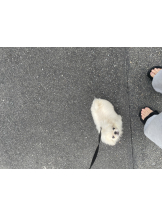 Club Queen - レオナの女の子ブログ画像