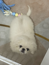 Club Queen - レオナの女の子ブログ画像