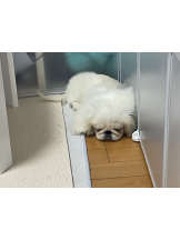 Club Queen - レオナの女の子ブログ画像