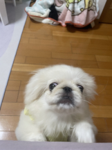 Club Queen - レオナの女の子ブログ画像