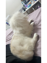 Club Queen - レオナの女の子ブログ画像