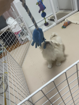 Club Queen - レオナの女の子ブログ画像