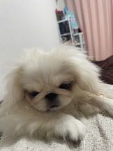 Club Queen - レオナの女の子ブログ画像