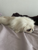 Club Queen - レオナの女の子ブログ画像