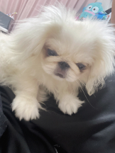 Club Queen - レオナの女の子ブログ画像