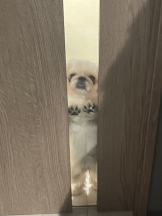 Club Queen - レオナの女の子ブログ画像