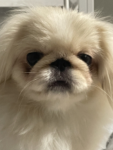 Club Queen - レオナの女の子ブログ画像