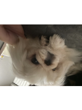 Club Queen - レオナの女の子ブログ画像