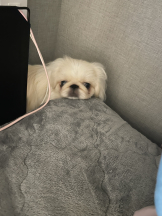 Club Queen - レオナの女の子ブログ画像