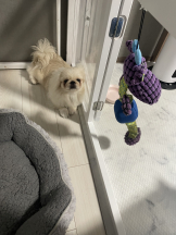 Club Queen - レオナの女の子ブログ画像