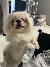 Club Queen - レオナの女の子ブログ画像