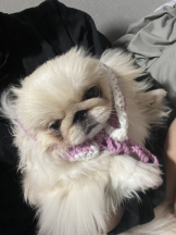 Club Queen - レオナの女の子ブログ画像