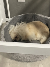 Club Queen - レオナの女の子ブログ画像