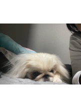 Club Queen - レオナの女の子ブログ画像